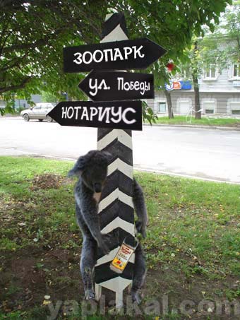 Подборка коал от Rusbp