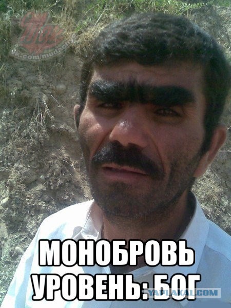 Неужели это правда?
