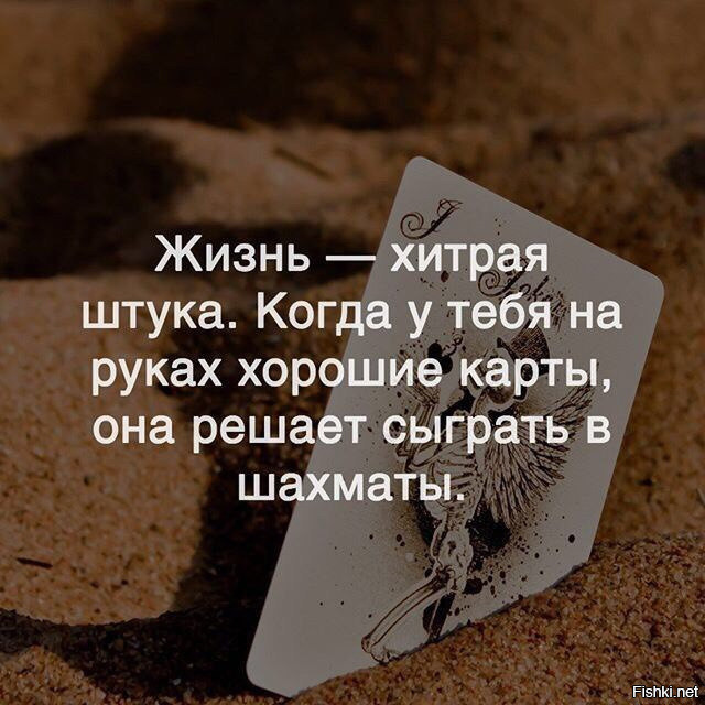 Подборка интересных и веселых картинок