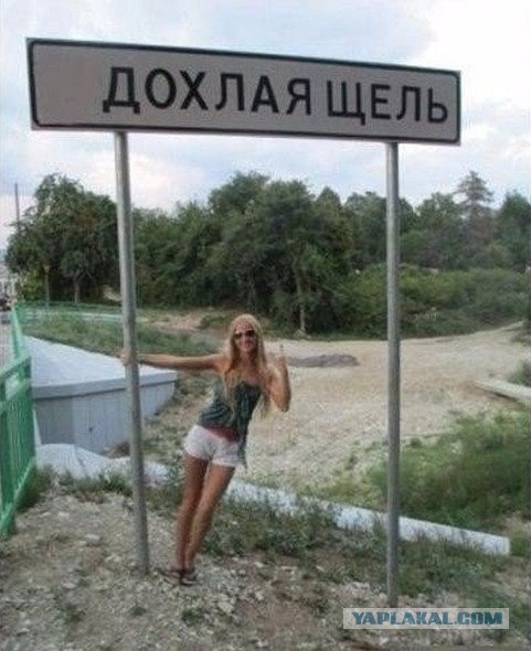 Подборка интересных и веселых картинок