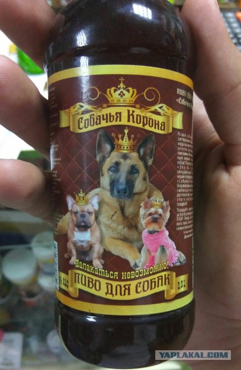 Картинки всякие для поднятия настроения