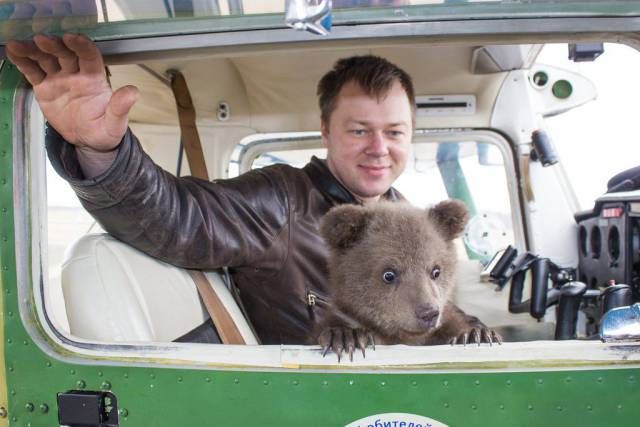 Подборка забавных животных