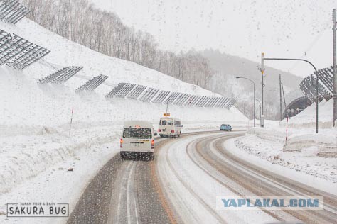 Владивосток 500 аварий за час