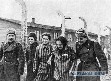 Как только вы забудете эту войну, так сразу ждите новую!