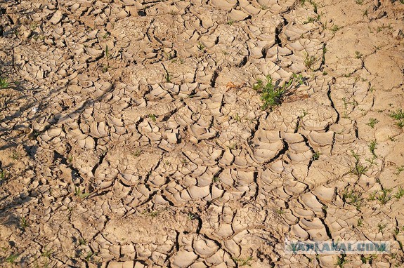Украина позлорадствовала по поводу «засухи» в Крыму