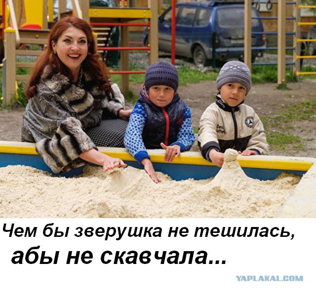 Депутат от «Единой России» устроила фотосессию "понтов" у песочницы, куда привезли песок