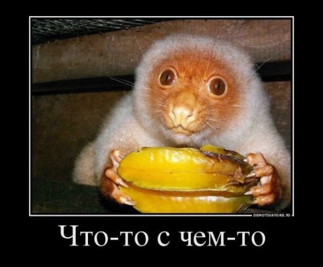 Задница Павлова