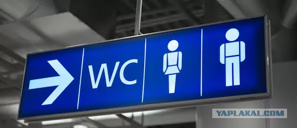Разруха не в клозетах, а в головах