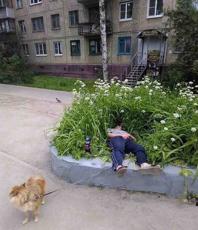 Картинки по-приколу