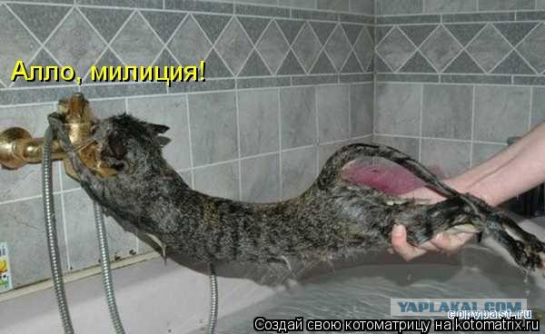 плаваю я