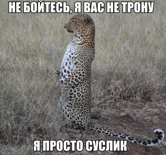 World of Tanks - для обычных игроков