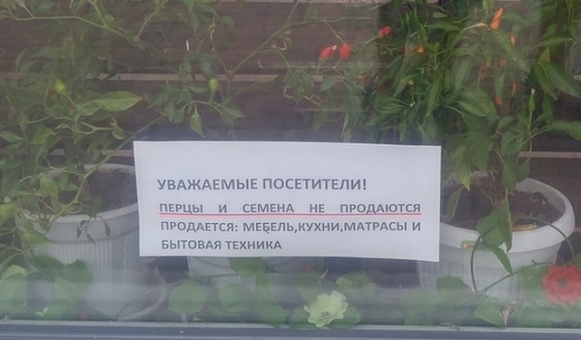 Прикольные надписи и объявления