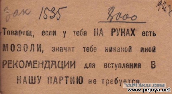 Наталья Поклонская возглавит новую партию власти