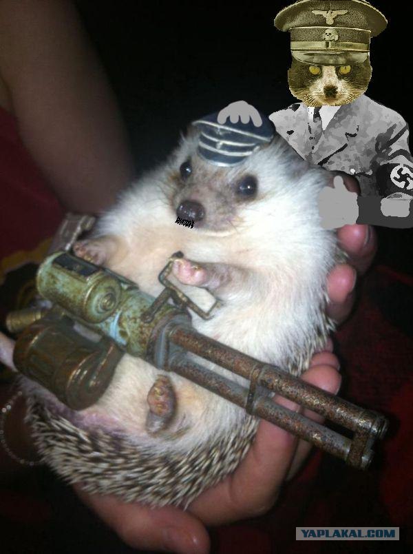 ШтурмбаннЁжег