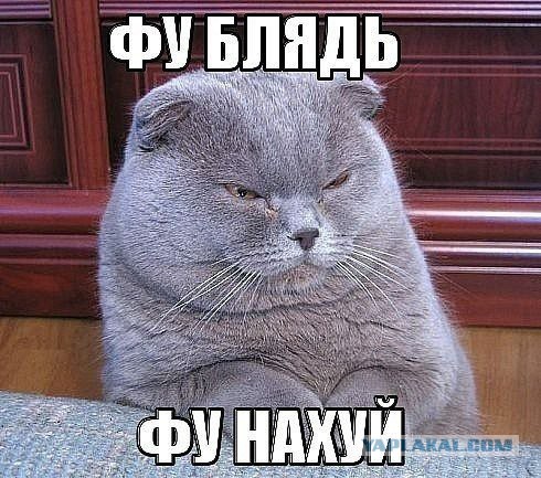 Так... Проверим...