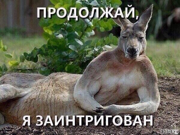 Что характерно, обнаглели!