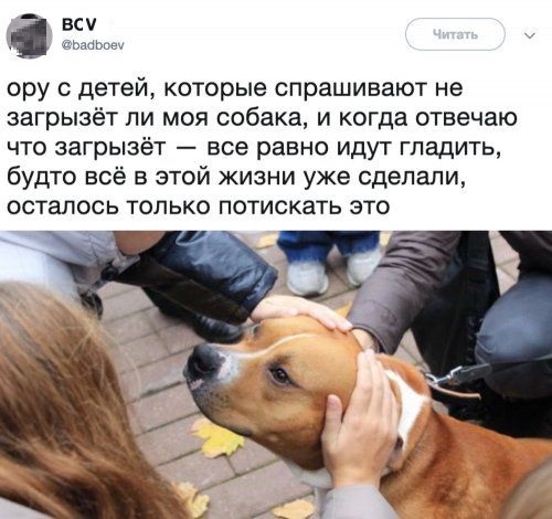 Анекдоты, соц-сети и картинки с надписями