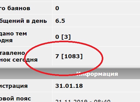 Власти взяли под контроль сбор грибов, ягод и берёзового сока