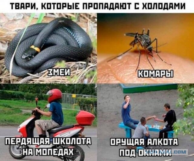 Картинки ни о чем