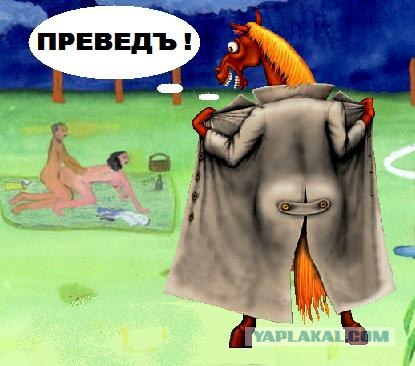 Превед медвед!