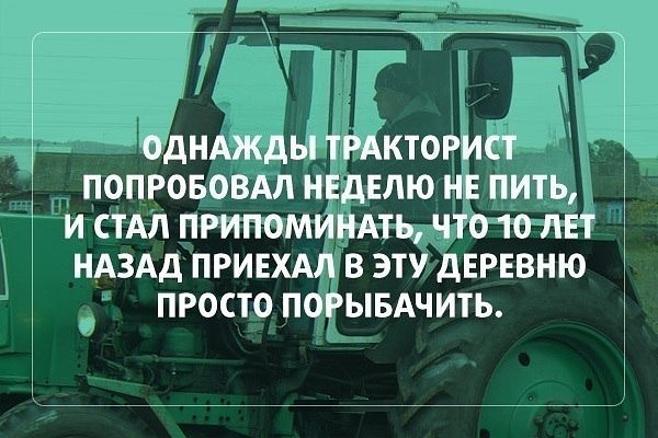 Фотки и картинки: юморные и красивые, забавные и милые 16.09.20