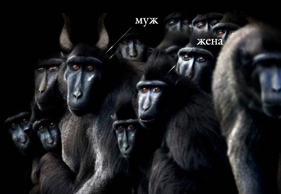 Ассоциации