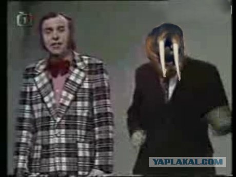 Жабим моржэ!1