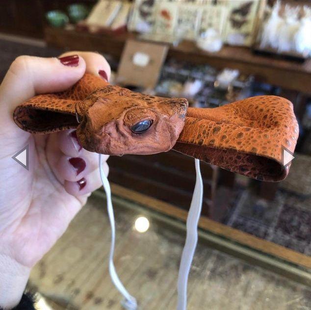 Картинки дурацкие