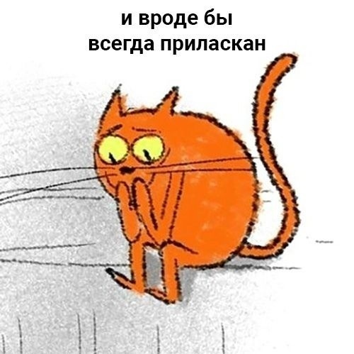 Кретинизмы из сети 12.01.21