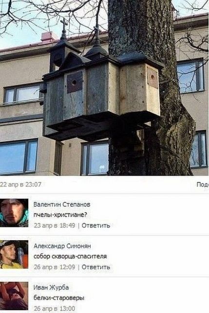 Баянисто-небаянистый юмор. 17.01.21