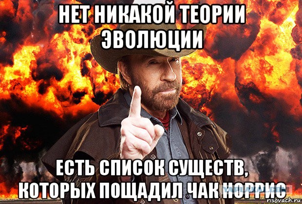«Если железный занавес сформируется, он должен быть обоюдным». В Госдуме анонсировали меры в ответ на отказ США выдавать визы