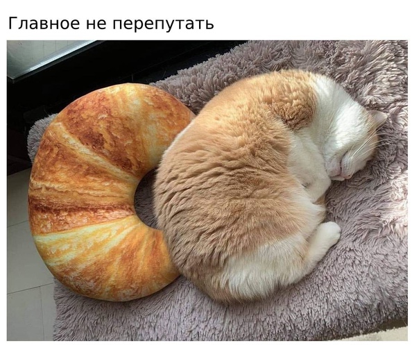 Картинки на вчера