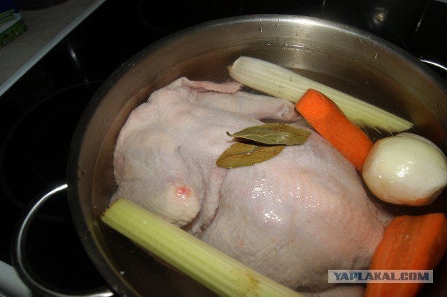 Куриный бульон для Чайников, Или «Кура-International»