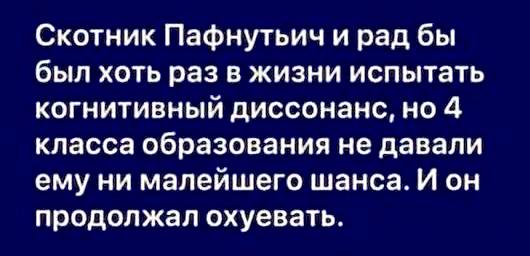 Весёлый полтишок 25.06.