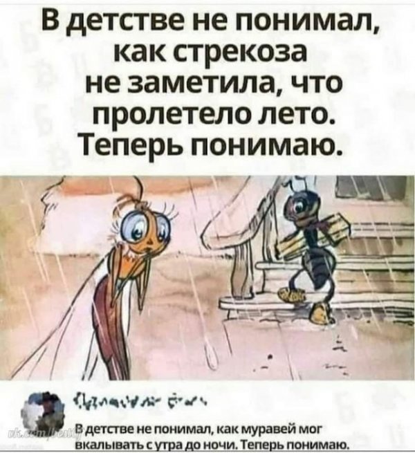 Картинки и мемы для настроения 17.08.2021
