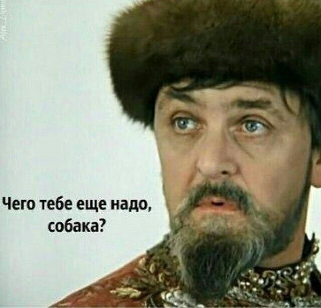 Ты че пес мем