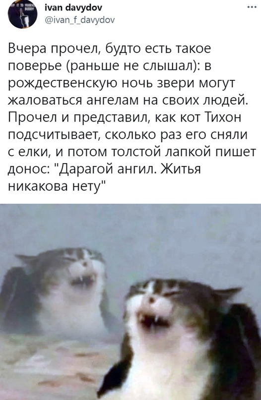 Весёлый полтишок 10.01