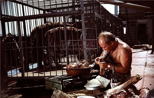 Самый «Полосатый рейс»