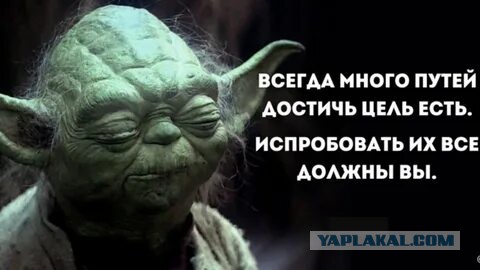 Одна беда на двоих
