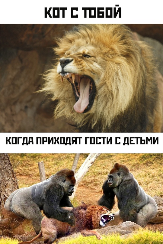 Весёлый полтишок 10.06.22