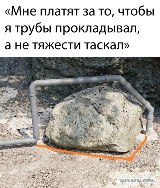 Весёлый полтишок 15.07.22