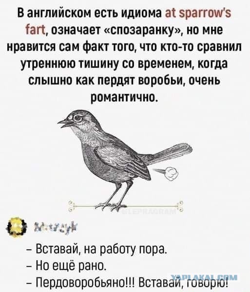 Чуток картинок 22.07.22