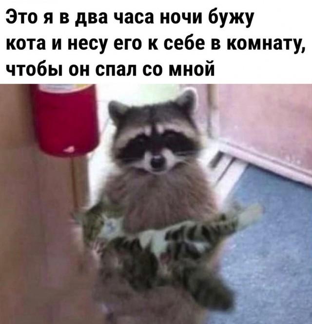 Юмор в картинках и без