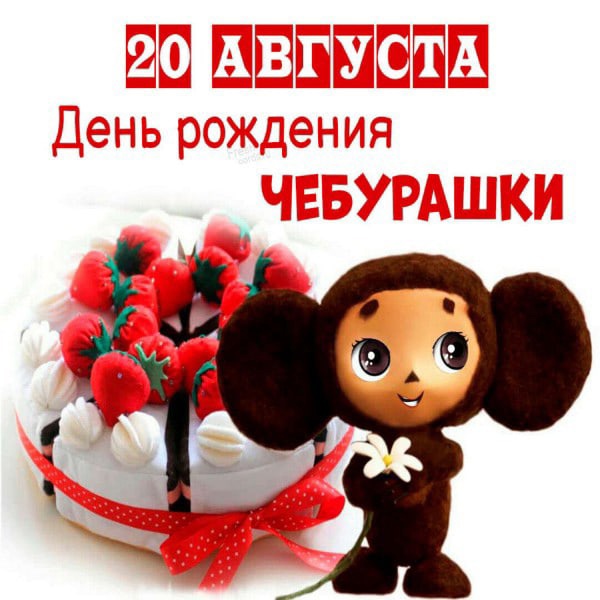 Женский взгляд работницы ЗАГСа на современные отношения