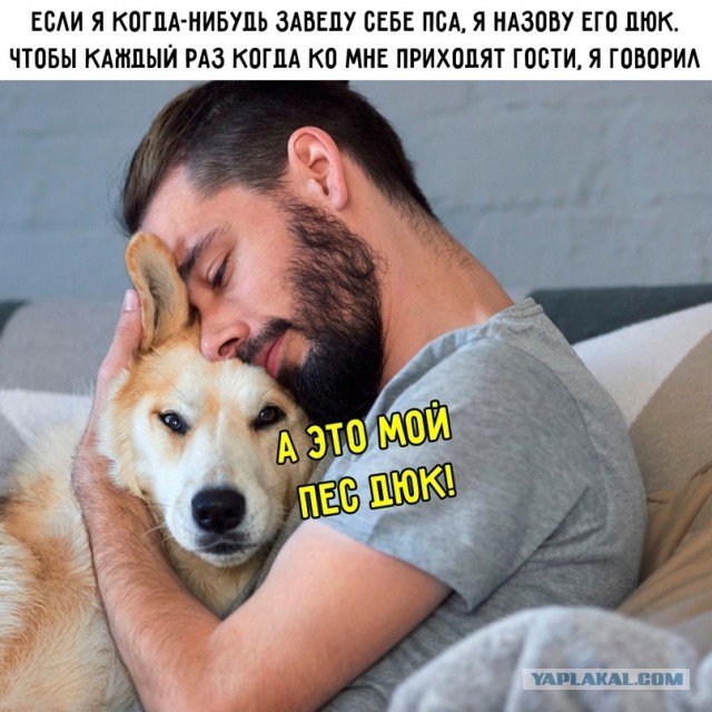 Картинки и мемы для настроения - 009