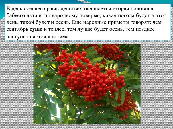 Пандемия съехавших крыш - разновидности болезни. Россия и мир. Часть 42.