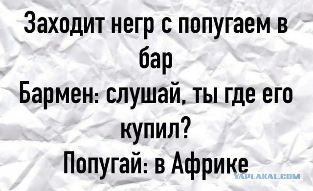 Так себе картинки 08.10.22