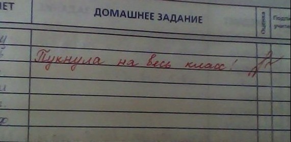 17 учительских пометок в школьных дневниках, которые заставили родителей рассмеяться