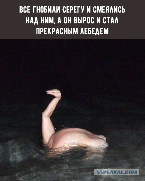 Так себе картинки 11.11.22