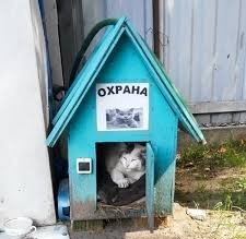 Котобанда Милахи продолжает отжимать шиномонтаж!